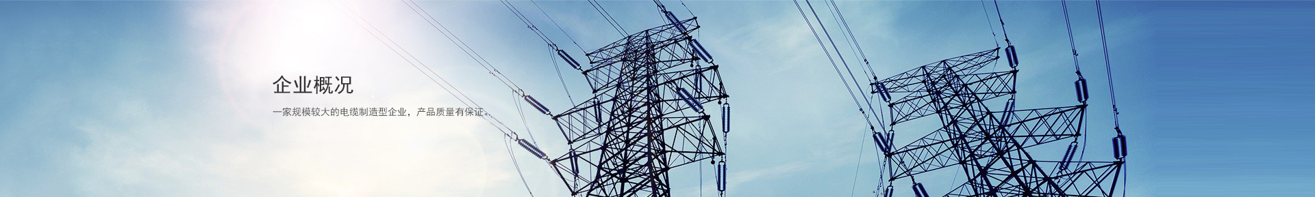 組織結(jié)構(gòu)