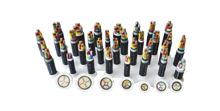 0.6/1kV 聚氯乙烯絕緣電力電纜